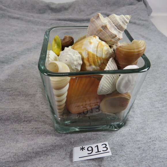 REAL Sea Shells in a Glass Square Vase and sand #6 - Picture 1 of 9